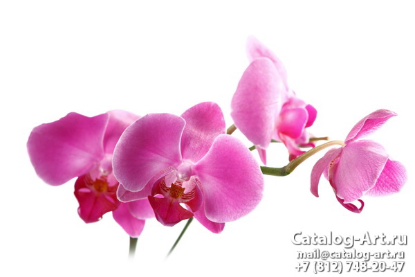 картинки для фотопечати на потолках, идеи, фото, образцы - Потолки с фотопечатью - Розовые орхидеи 67